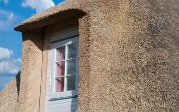 Linns thatch roof disadvantages